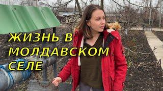 День из жизни моей семьи в молдавском селе