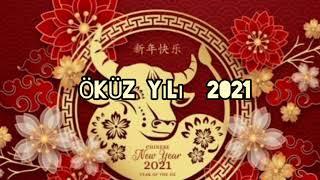 ÖKÜZ YILI NEDİR?  WHAT IS OX YEAR?