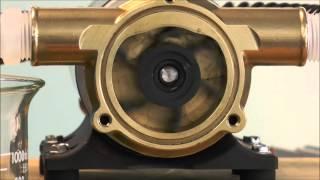 How a Jabsco Flexible Impeller Pump Works