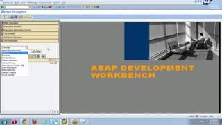 SAP HCM Free Online Training Part 1