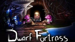 Dwarf Fortress учебники . 11. колодец и резерв воды