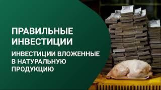 Еда навсегда  -  Вольная птица Создавай ресурсами с нами: яйцо, курицу, свою ферму и землю