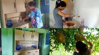 LOOK AT HOW TALL THIS JACKFRUIT TREE IS!  + WASHING THE DISHES + ORGANIZING AND CLEANING THE CUP...