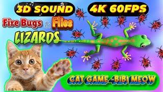 CAT GAMES TOM TV & BiBi | Ultimate Compilation Catching The LIZARDS , Flies, FireBugs11 HOURVol 33