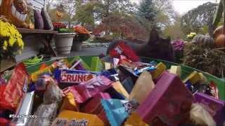 The Candy Bowl - Halloween 2014