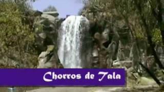 Tala Jalisco Vive