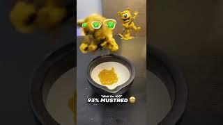Gummy Bear Evolution 