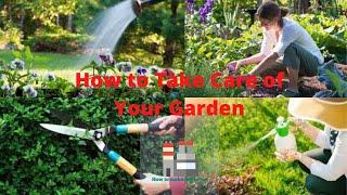 How to Take Care of Your Garden | Tips on How to Take Care of Your Plants | House Garden Care Tips