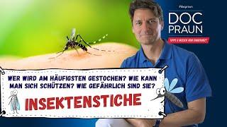 Insektenstiche: Wen stechen Mücken am liebsten und was hilft dagegen?