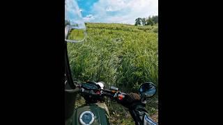 Буксует, козлит, но едет‍️ #motovlog #bikelife #scrambler #эндуро #geon #мотокросс #shorts