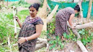 Gach ta ke kete bari ghar pariskar karchi @kalyanivlogs5548 #deliy vlogs #cow milkig #Cleaning