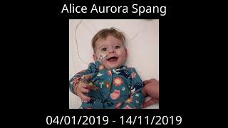 R.I.P. Alice