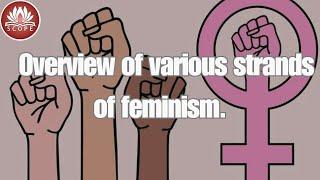 The Many Shades of Feminism: An In-Depth Analysis