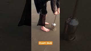 How to Clam! #pnw #shorts #oregon #seafood #clam #shellfish #outdoors #nature #explore #getoutside