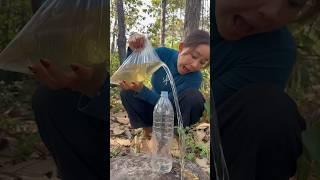 SURVIVAL SKILLS : easy method saving water transfer to bottle #campping #bushcraft #smart #water