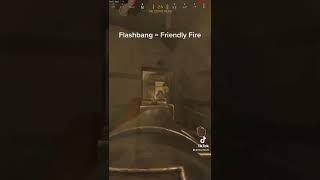 Friendly Fire Flashbang