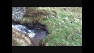 THE LOVELY GLENS OF ANGUS  JOE AITKEN