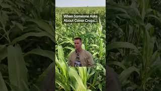 Pretty much exactly what happens every time #covercrop #regenerativeagriculture #farming #ranch