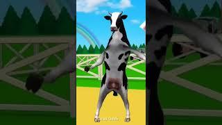 البقرة | البقرة الراقصة | البقرة الحلوب | البقرة الضاحكه | حليب البقر | the cow