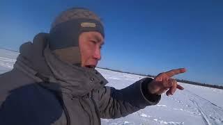 Рыбы нет- одни окуни!