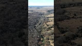Upcoming LAND AUCTION: 218 +/- Acres with Build Site, Creek, 3 Ponds, Terraced Field, Hardwood Ridge