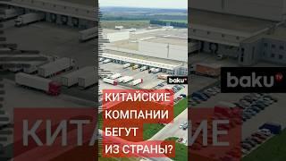 Какие меры предпринимают китайские компании в ответ на пошлины США