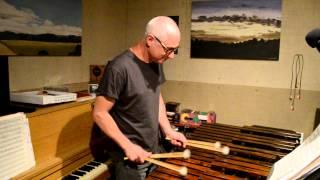 DJ Bonebrake: Flesh Eaters Marimba Demo