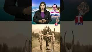 తెలంగాణ జన నాడి #kcr #kaleswaram #brs #tnewslive