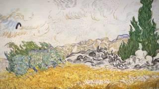 Van Gogh's Space (animated paintings)