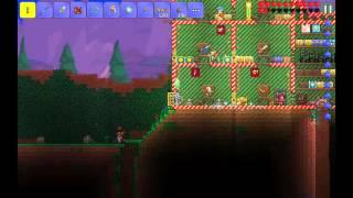 Как победить Плантеру или арена для битвы с Плантерой. Terraria 1.2.4 Mobile (Android, IOS)