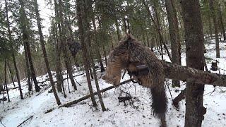 УДАЧНАЯ ПРОВЕРКА//ОТВЕТЫ НА ВОПРОСЫ