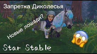 Star Stable | Запретка Диколесья/ЛОШАДИ???