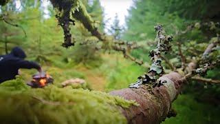 Satisfying and Relaxing ASMR for Foodies and Nature Lovers