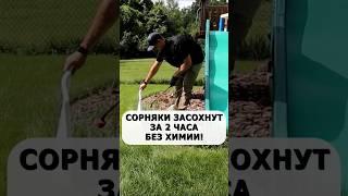 Сорняки засохнут за 2 часа без химии и без прополки. Лучшее действенное средство #огород #сад #дача