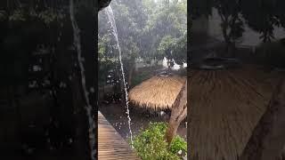 Rainy season ️