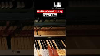 Fields of Gold - Sting #pianointro #shorts