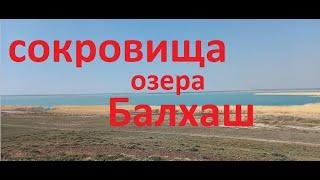 Путешествие на озеро Балхаш. Поиск монет и знакомство с природой Прибалхашья.