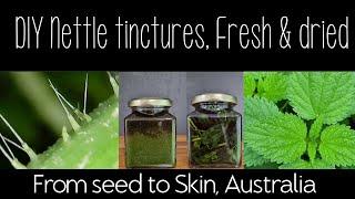 Stinging nettle tinctures using fresh and dried