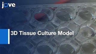 Primary Human Bone Marrow & Malignancies Study:3D Tissue Culture Model