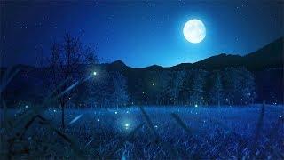 Relaxing Sleep Music and Night Nature Sounds: Soft Crickets, Beautiful Piano, Deep Sleep Music