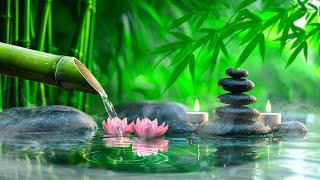 Relaxing Piano Music + Insomnia and Healing  Relaxing Music, Sleep Music, Meditation, Nature Sound
