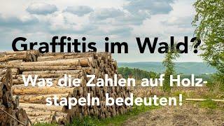 Graffitis im Wald? Was die Zahlen auf Holzstapeln bedeuten! - Forst erklärt