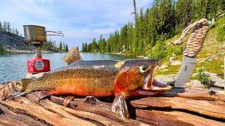 GIANT Trout Catch & Cook in HIGH ALTITUDE Mountain Lake!!!