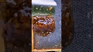 lcecream#washington  #shorts#california #newyork #food #cold #kannada #trending #sydney  #asmr