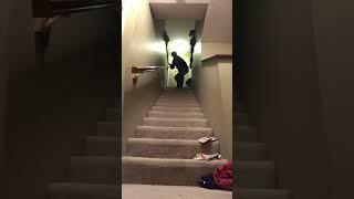 You wake up and see this at the top of your stairs wyd?! #goofyahh #random #goofy #fail