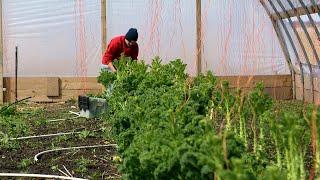 Growing a business from the ground up with the help of ISU Extension