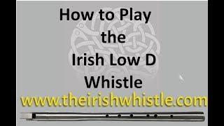 Low D Whistle Tutorial How to Play Low Whistle By Nick Metcalf