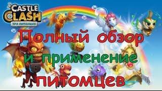 Битва Замков, Питомцы (Pets): полный обзор и применение