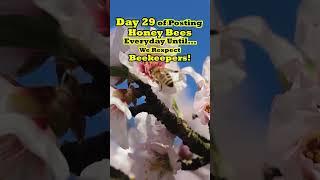 Day 29 of Celebrating BEEKEEPERS & Their HONEY BEE Heroes!