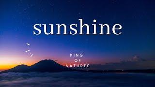 Sunshine Nature Videos - 4K Video HD